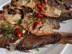 -五七小李子油焖大虾(总店)