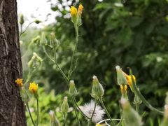 -长春公园(普阳街道)