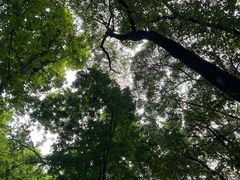 -惠山国家森林公园
