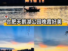 -天鹅湖体育公园