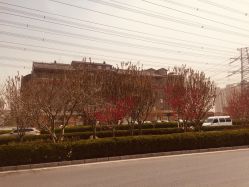 -大望京儿童游乐场