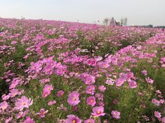 -廊坊市自然公园