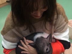 -藦茜花园宠物主题亲子互动体验馆(国顺东路店)