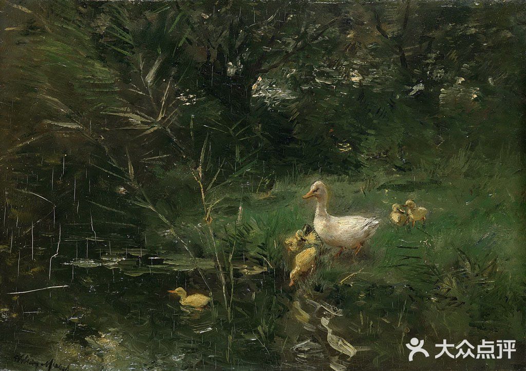 🌿清河老树画闲鸭