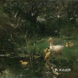 🌿清河老树画闲鸭