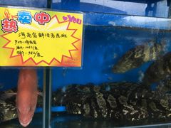-蚝专家(北滘店)