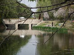 -大望京公园