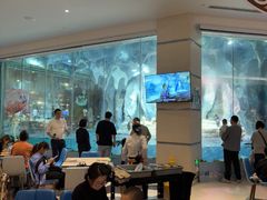 -帝企鹅自助餐厅•儿童岛•真企鹅(长隆企鹅酒店)