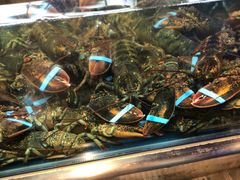 -盒马鲜生(大成店)