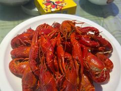 -虾皇(龙虾城旗舰店)