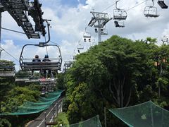 -圣淘沙天际线斜坡滑车