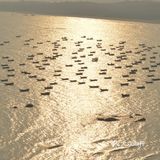 茂名最佳日落观赏点