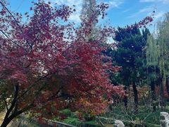 -狼山风景名胜区