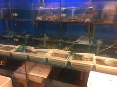 -红灯笼龙凤饭店(宁波老字号店)