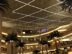 -上海大酒店(南京东路店)
