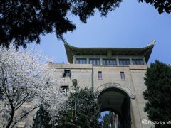 -武汉大学-樱园