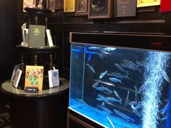 -翠府(翠湖北路店)