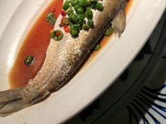 -绿茶餐厅(领展购物广场·中关村店)
