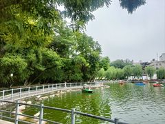-莲湖公园