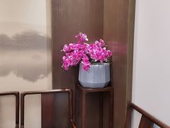 -俏陵轩·南京本土菜(奥体博览中心店)