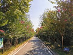 -武汉紫薇都市田园