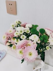 -YESIDO椰岛美容