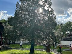 -承德避暑山庄景区