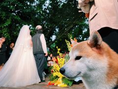-悦哉·派对·草坪婚礼·围炉煮茶(三圣乡店)
