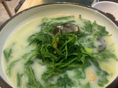 -喜上喜鸡煲翅(吉大店)