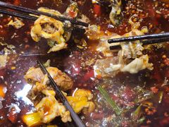 -三道苗苗鱼·美蛙黄辣丁(八里店)