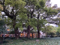 -普陀山雷迪森庄园