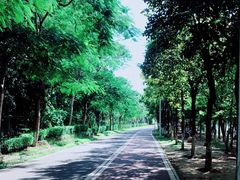 -凤岗南门山森林公园