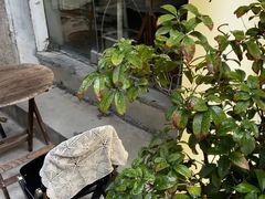 -春庄咖啡SpringHues(钟楼小区店)