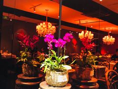 -小河盐帮·私家菜·烤鸭(三元桥·霄云路店)