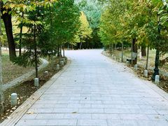 -泰安地下龙宫景区