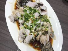 葱香鲈鱼-周锦记广式餐厅(格林生活坊2期店)