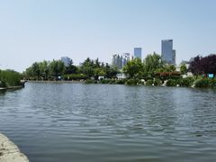 -丁家河公园