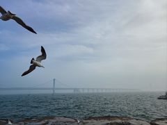 -星海广场