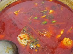 -重庆特色冷锅鱼(武大店)