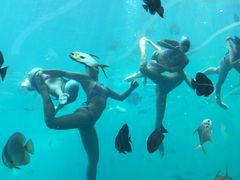 -瑞德姆美人鱼海底演艺主题餐厅(亚龙湾店)