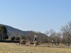 -长兴太湖图影湿地文化园