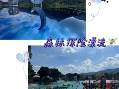 -南丹山森林王国