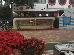 -佛山市儿童活动中心幼儿园