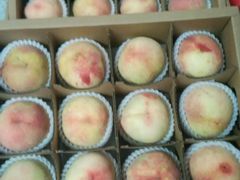 android_upload_pic-田园东方蜜桃村的田野营地
