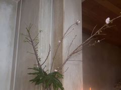 -陶享时光西餐·下午茶(信河街店)