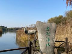-溱湖国家湿地公园