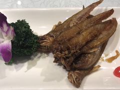 -金米箩大酒店(五角场店)