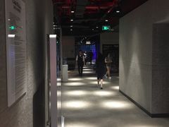 -威尔仕健身(丁香国际店)