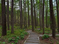 -洛阳白云山景区