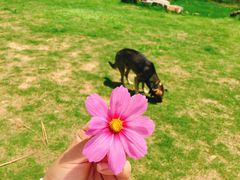-钟山体育运动公园